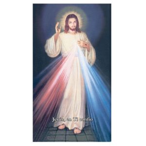 Divina Misericordia 10x18"
