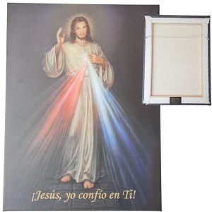 D. Misericordia, Canvas