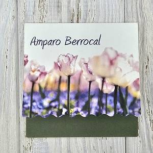 Tarjeta Monedero